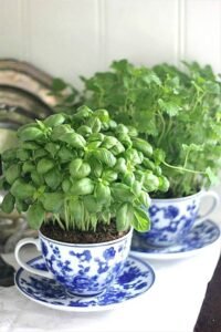 Kitchen Herb Garden Ideas 3 Img