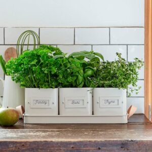 Kitchen Herb Garden Ideas 4 Img