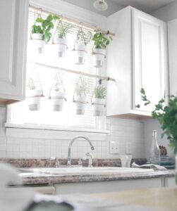Kitchen Herb Garden Ideas 5 Img