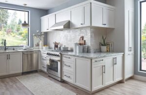 Monochromatic Kitchen Designs Img